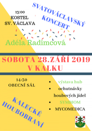 Plakát Koncert + Houbobraní